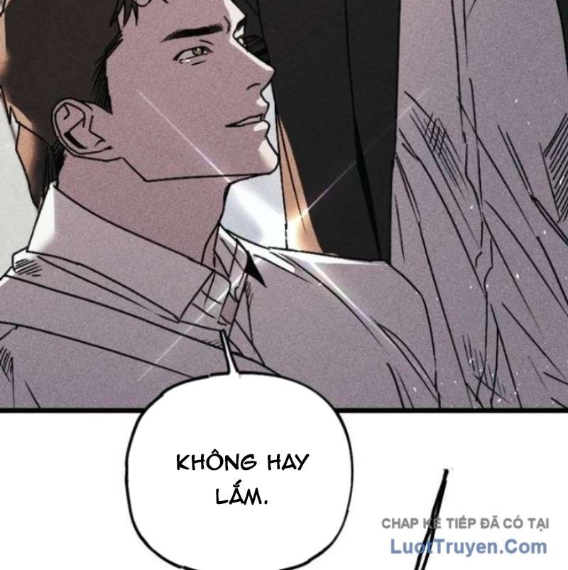page 244