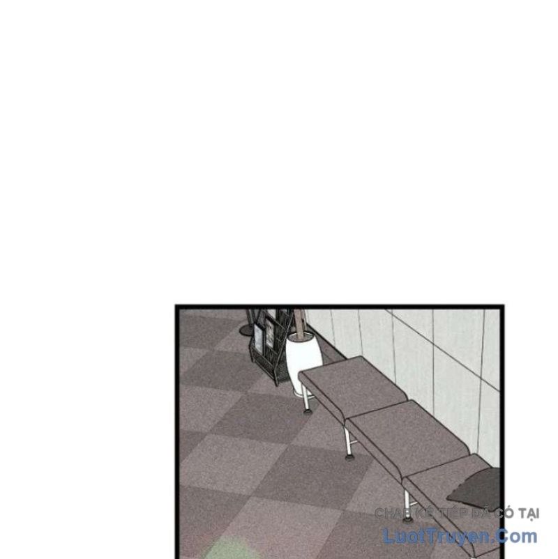page 247