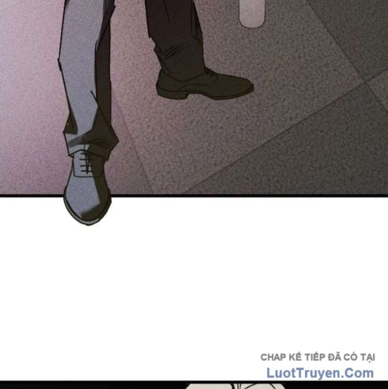page 264